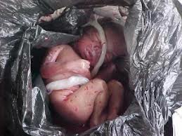 الفقيه بن صالح: الدرك يعتقل “أم عازبة” بتهمة قتل مولودها و رميه في البئر.