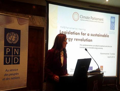 البرلمانية المغربية بن يحيى تدعو للاستثمار في مجال الطاقات المتجددة بالمغرب