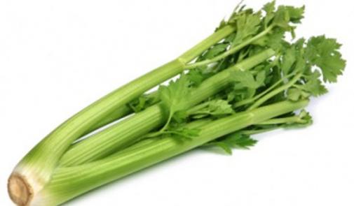 الخرشوف والكرفس يقضيان على خلايا سرطان البنكرياس