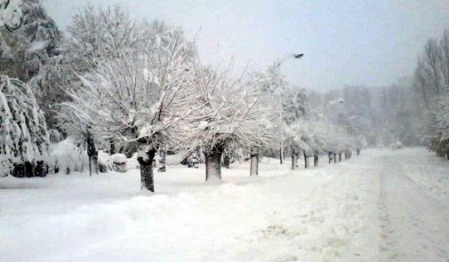 تازة ضمن نشرة إنذارية .. رياح قوية جنوبية غربية وتساقطات ثلجية قوية ابتداء من مساء اليوم