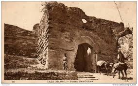 تازة وطن الشهامة و الأبطال “زجل”