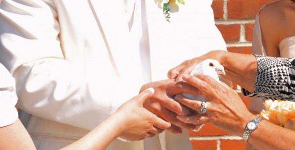 بين قيصر والمسيح… أزمة طلاق الأقباط في مصر