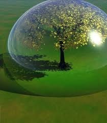 تحولات مفهوم الأمن الإنساني