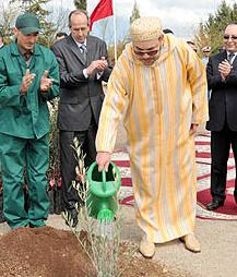 غفساي: الدورة الاولى للمهرجان الاقليمي للزيتون