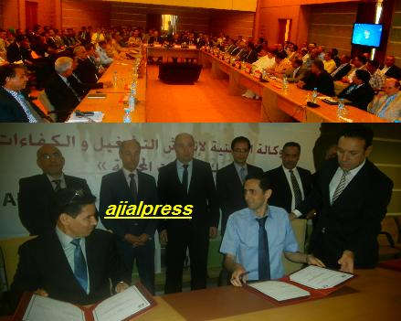 تازة: الحكومة تعمل جاهدة على تعميق الحوار والتشاور حول القضايا ذات الصلة بالتشغيل ودراسة مختلف الاقتراحات التي من شأنها دعم وتحسين آفاقه بالمملكة