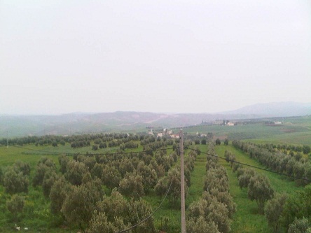 تازة: فلاحون يحتجون على إقامة مشروع لتصفية المياه العادمة بأراضيهم