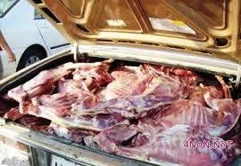 تازة: مصلحة البيئة في الدرك الملكي تشن حربا على اللحوم المهددة لصحة المواطنين