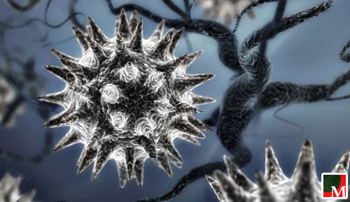 أدوية مضادة للفيروسات قد تكون المفتاح لكبح نمو الأورام السرطانية الدماغية