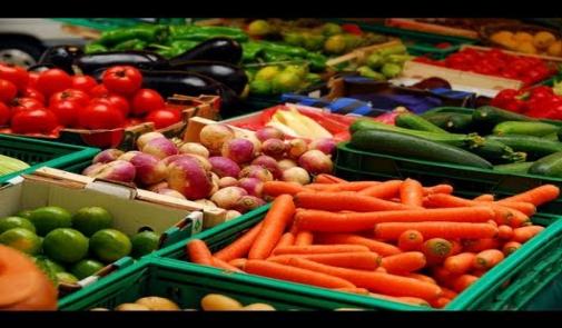 لماذا يجب على محكمة العدل نقض قرار محكمة الاتحاد الأوروبي بإلغاء الاتفاق الفلاحي؟